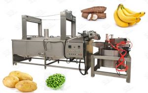 Automatic Continuous Frying Machine