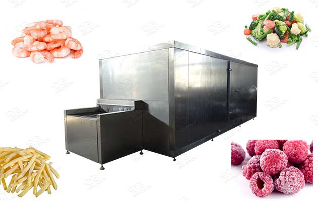 tunnel freezer machine for sale