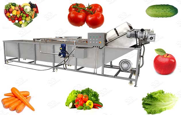 bubble type vegetable and fruit washing machine