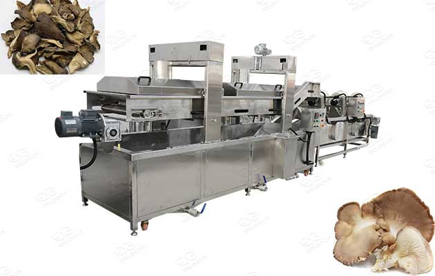 mushroom frying line manufacturer 