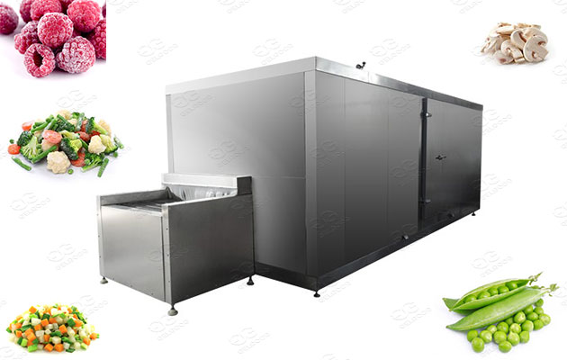 commercial vegetable and fruit quick freezer 