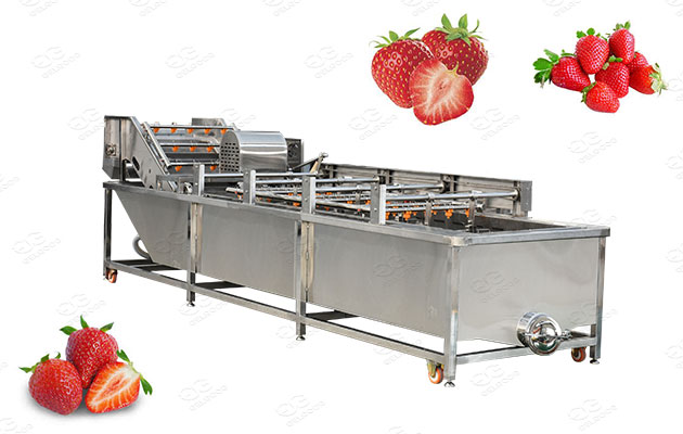 industrial strawberry washing machine