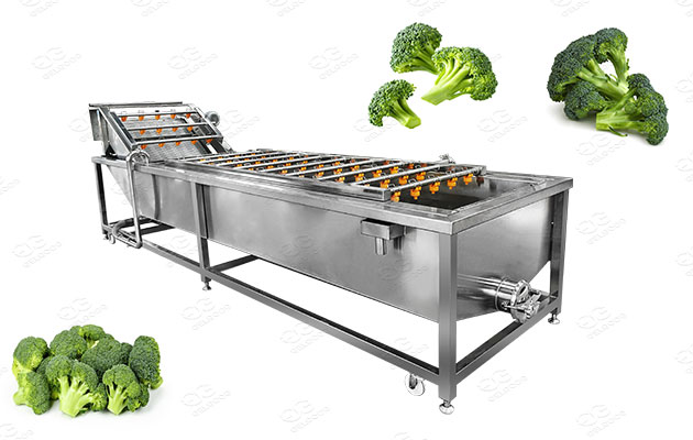 commercial broccoli floret washing machine