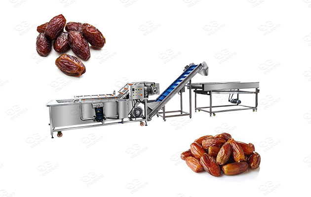 dates and jujube washing line