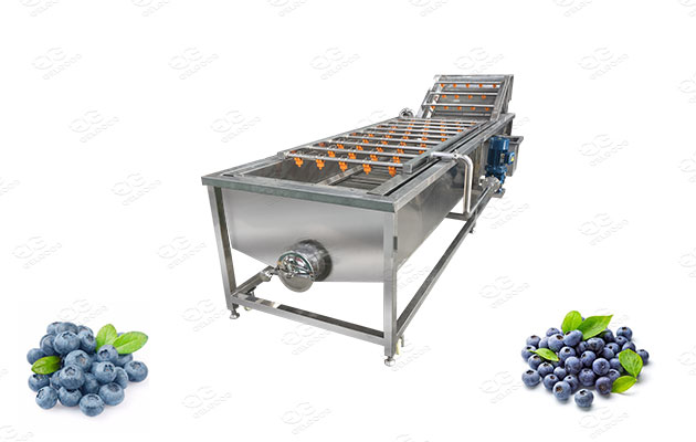 bluberry washer and cleaner supplier