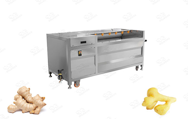 ginger washer and peeler manufacturer