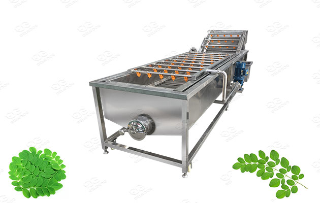 industrial moringa leaves washing machine supplier