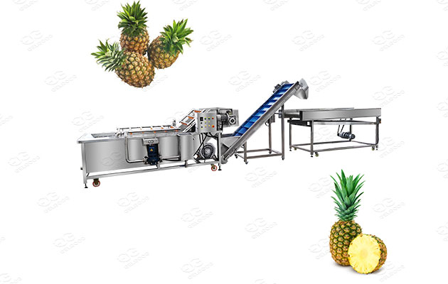 industrial pineapple washing machine price