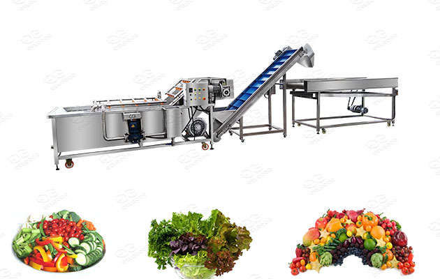 commercial salad processing line