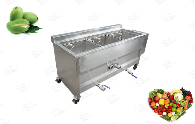 equipment used for blanching 