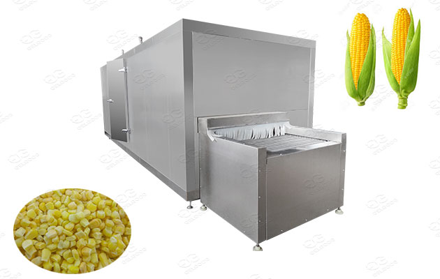 frozen sweet corn process line supplier