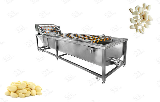 industrial peeled garlic cloves washer machine