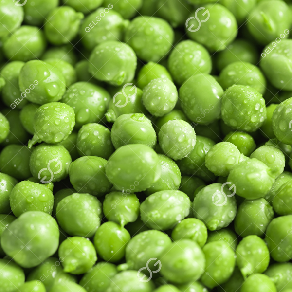 fresh pea bean