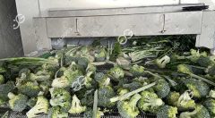 flash-freeze-machine