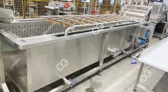 vegetable washing machine