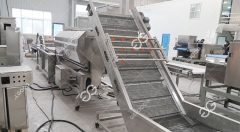 vegetable washing machine