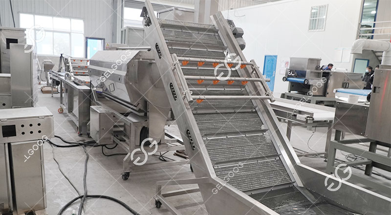 vegetable washing machine