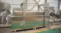 Continuous fryer machine