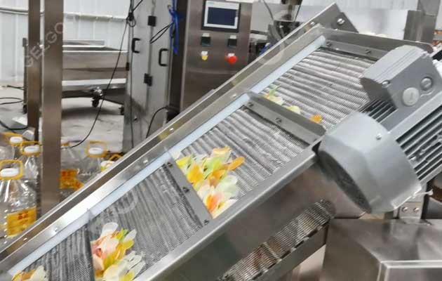 Machine de friture de chips de crevettes