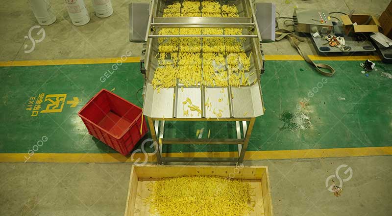 french fries production in factory