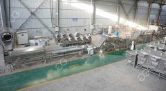 French Fries Production in Factory: Process, Equipment, Capacity and Cost french fries production line
